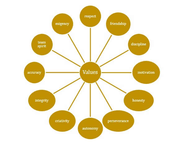 CMSM's Values